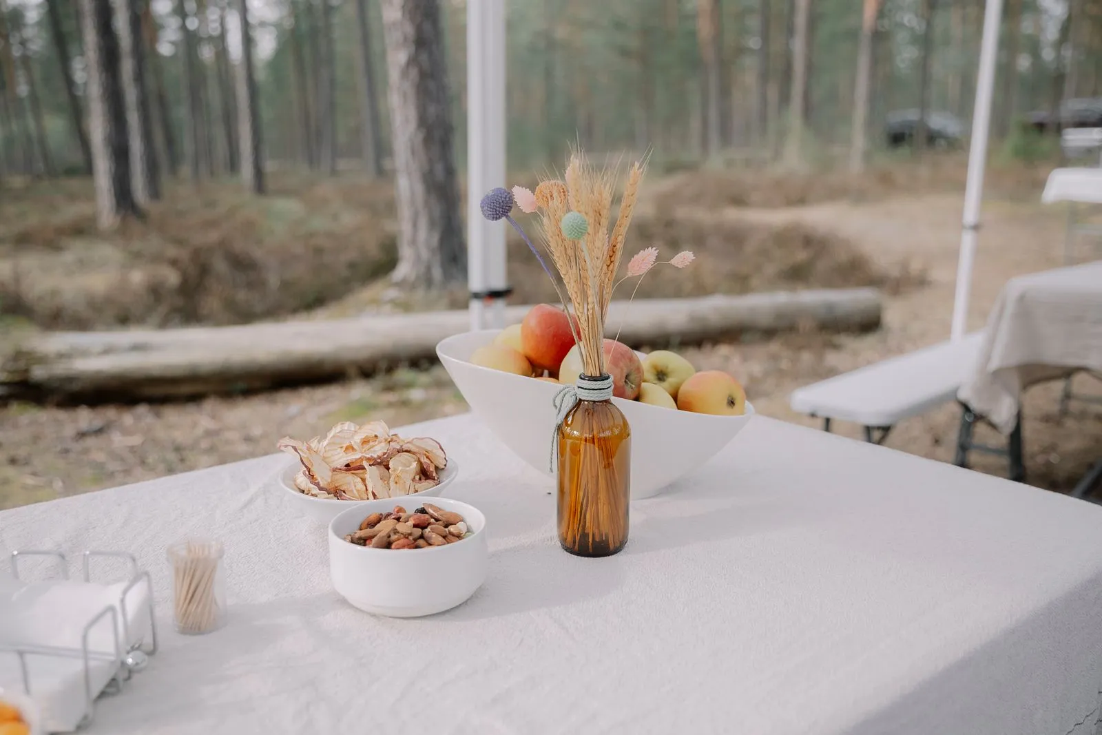 What to Include in a Styled Picnic Setup